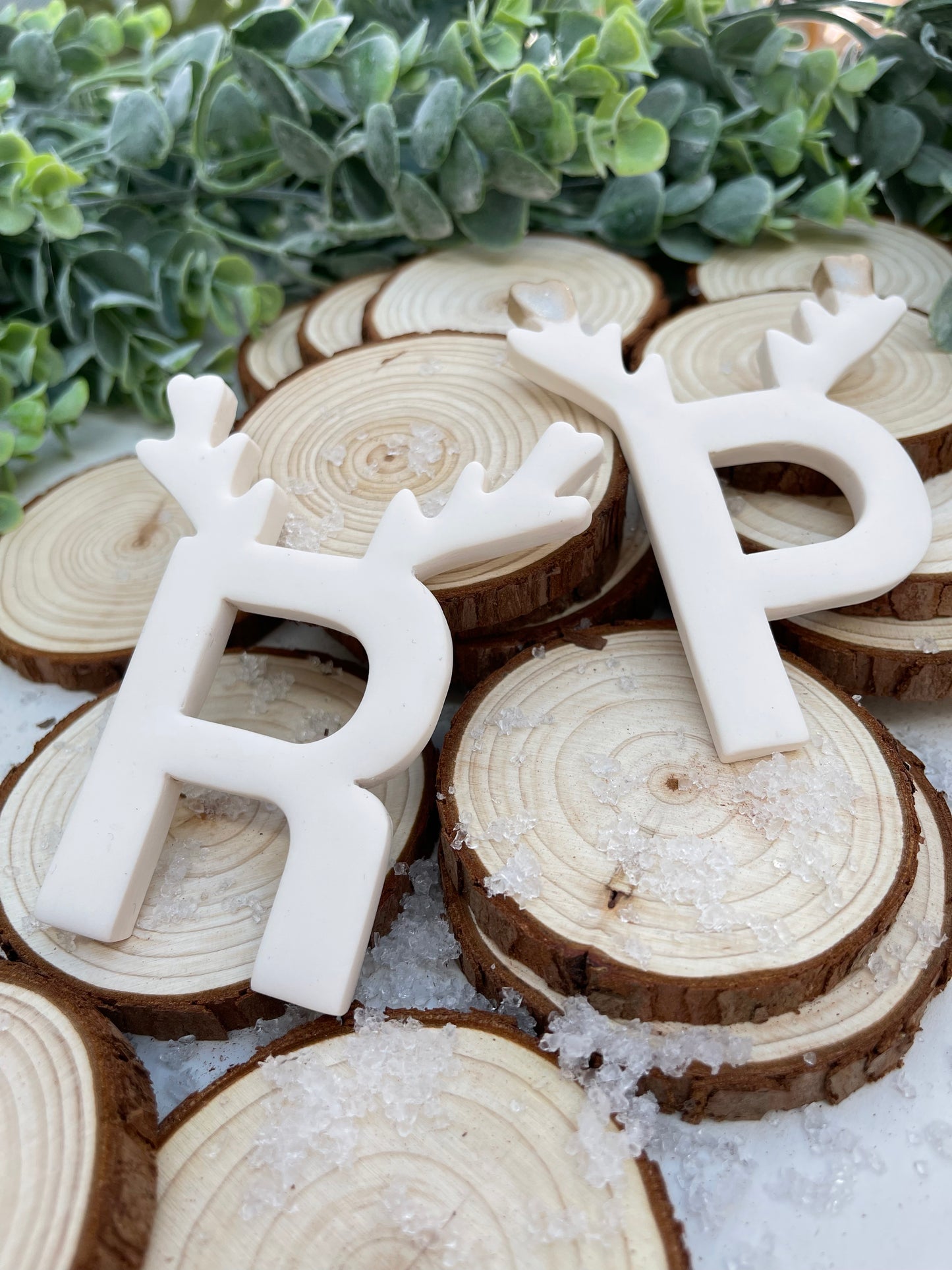 Reindeer Letters