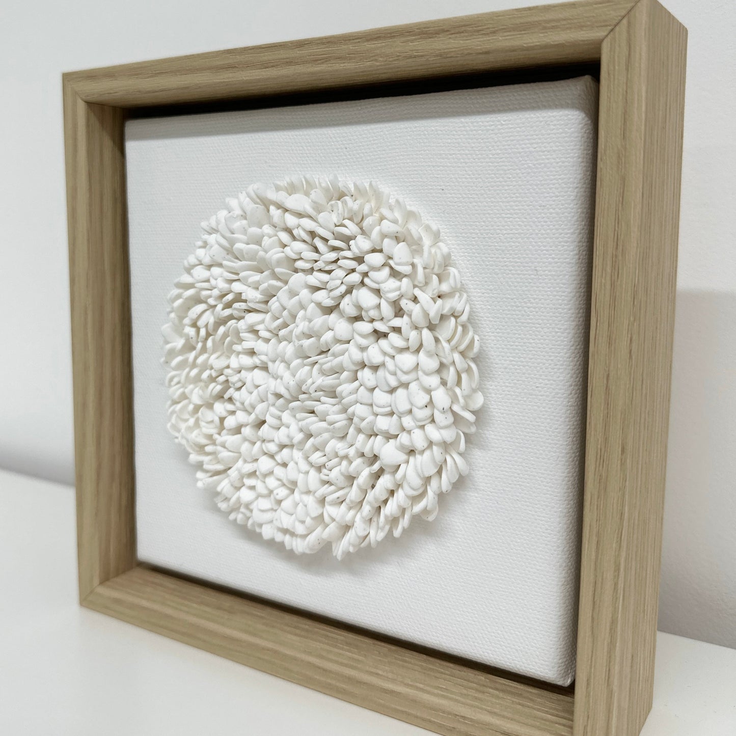 Underwater intricacies 03