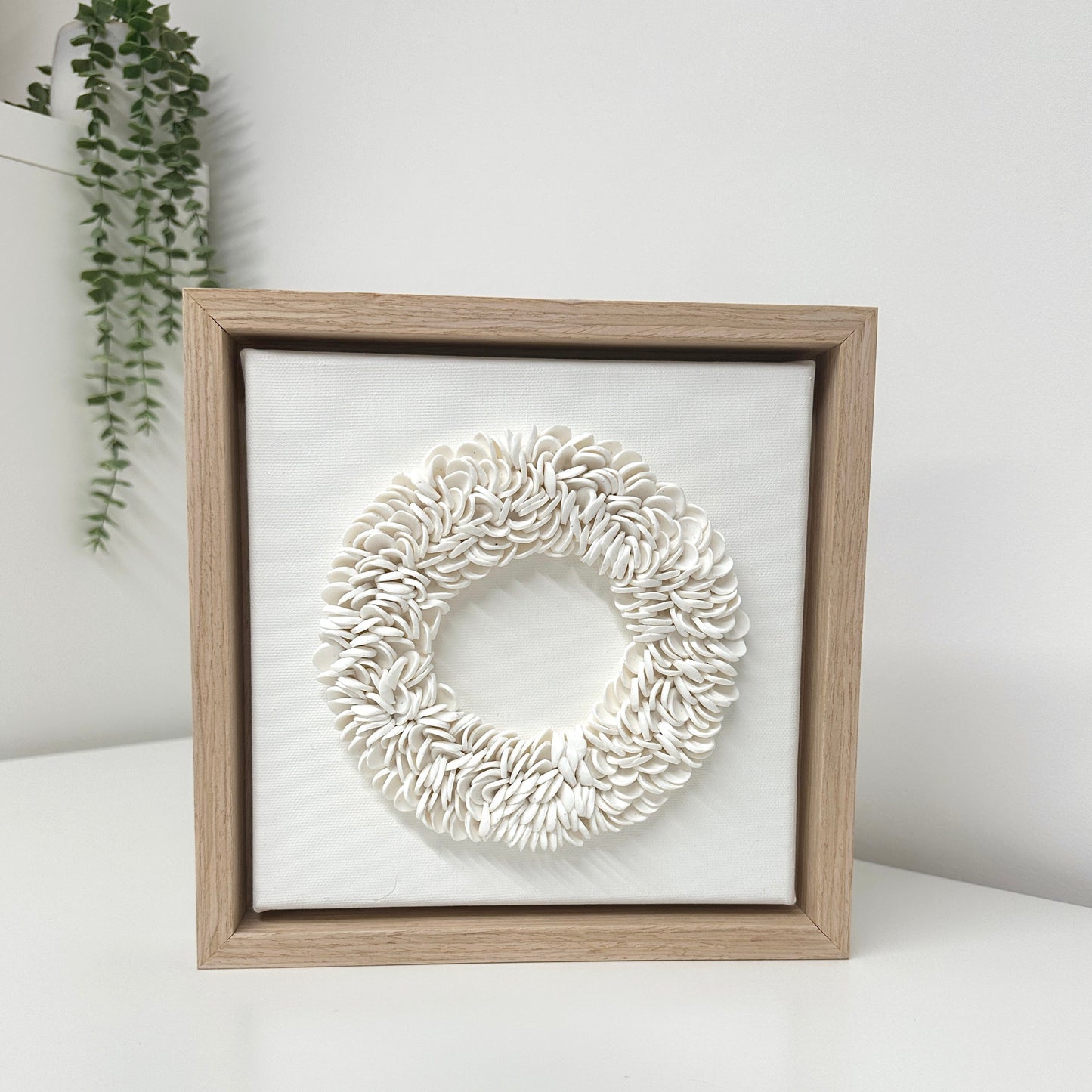 Spring 04 | Shell Spiral