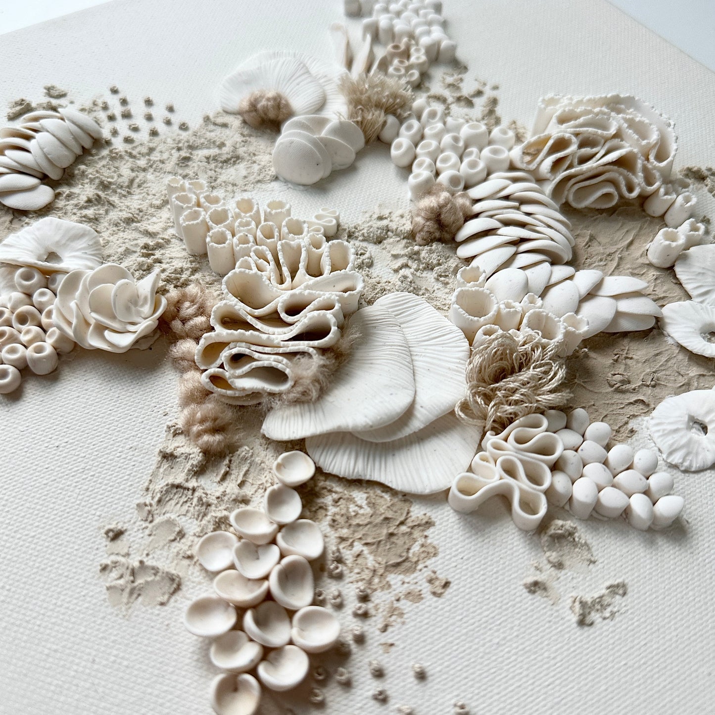 Neutral Coral Reef