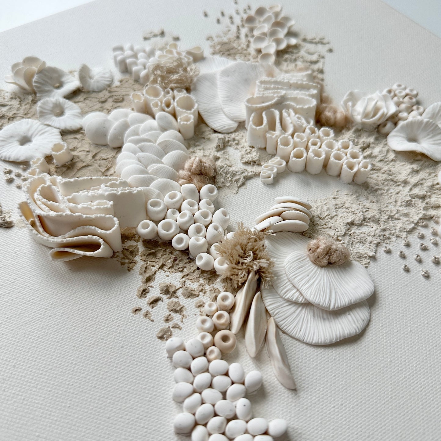Neutral Coral Reef